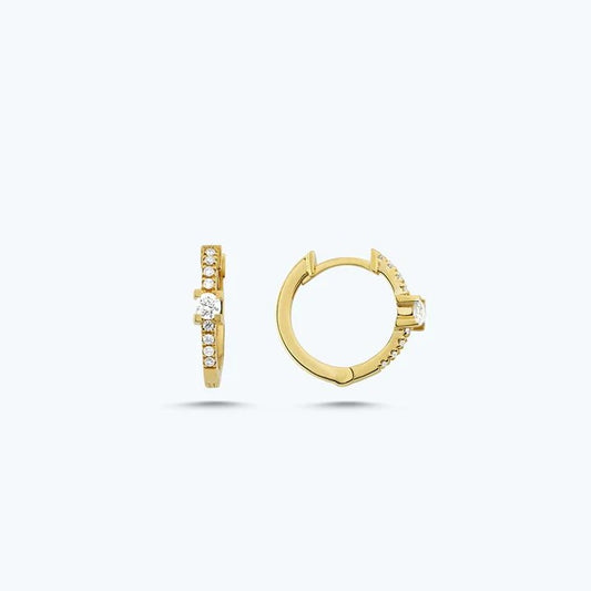 0.21 ct Diamond  Hoop Earrings in 14kt Gold