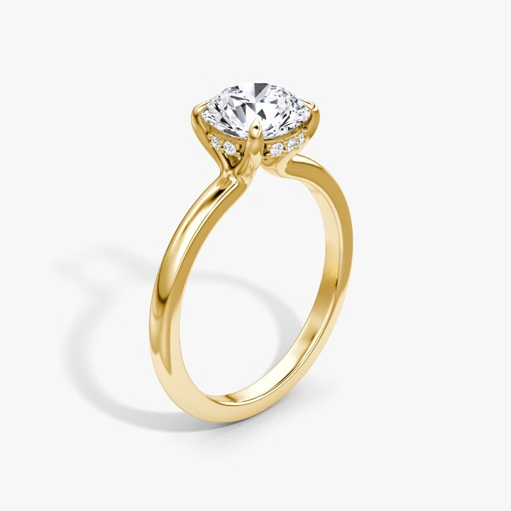 The Floating Solitaire Round Brilliant Engagement Ring